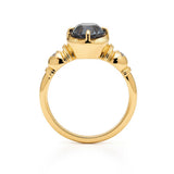 LIONNA ✦ Montana Sapphire