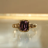 Asteria ✦ Mulberry Spinel