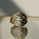 Nixie ✦ Cigar Band